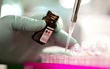 साल 2017 में स्वाइन फ्लू से अब तक 600 लोगों की मौत