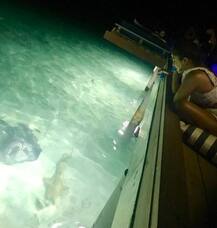 35वां जन्मदिन मनाने शार्क के साथ डेट पर गईं प्रियंका चोपड़ा