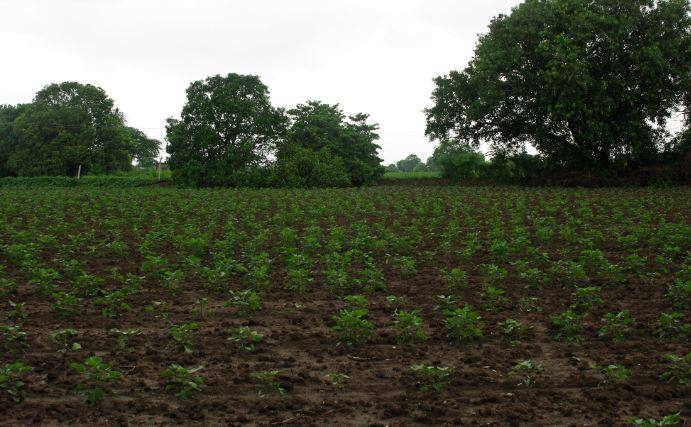 Gujarat Dalits Get Back Their Illegally Occupied Land After 4 Decades 40 साल बाद अवैध कब्जे से आजादी, दलित परिवारों को अपनी जमीन मिली वापस