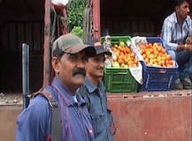 मध्य प्रदेश के इंदौर में हाथ में बंदूक लिए टमाटर की पहरेदारी कर रहे हैं सुरक्षा गार्ड