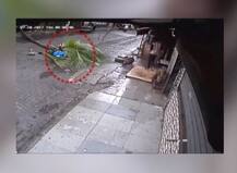 मुंबई : मार्निंग वाक कर रही पूर्व न्यूज एंकर पर गिरा नारियल का पेड़