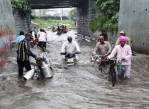 यूपी, एमपी और गुजरात में बाढ़ से उजड़ गए लोगों के घर, रेस्‍क्‍यू ऑपरेशन में जुटी NDRF की टीमें