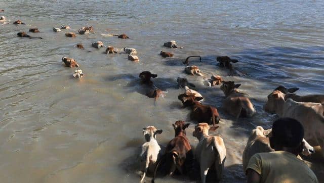 आधे हिंदुस्तान में बाढ़ का कहर, गुजरात में 75 मरे, मोदी ने किया हवाई सर्वेक्ष्‍ाण