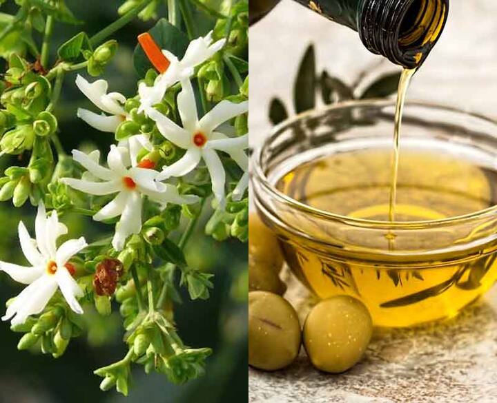 हरसिंगार और जैतून का तेल भी डार्क सर्कल्सत कम करने में मदद कर सकता है.