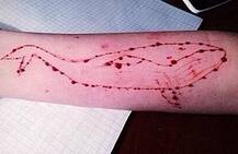 क्या \'ब्लू व्हेल गेम\' की टास्क पूरा करने के लिए 14 साल  के बच्चे ने की सुसाइड?