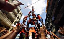 बॉम्बे HC का फैसला,14 साल तक के बच्चे तोड़ सकेंगे दही हांडी, पिरामिड की ऊंचाई पर लगी रोक हटी