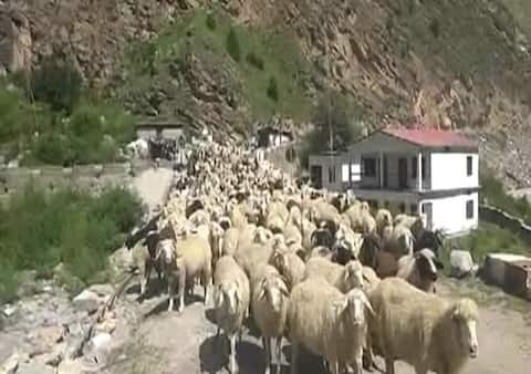 डोकलाम के बाद उत्तराखंड के बाराहोती बॉर्डर पर चीन की अकड़, चरवाहों के टेंट फाड़े डोकलाम के बाद उत्तराखंड के बाराहोती बॉर्डर पर चीन की अकड़, चरवाहों के टेंट फाड़े
