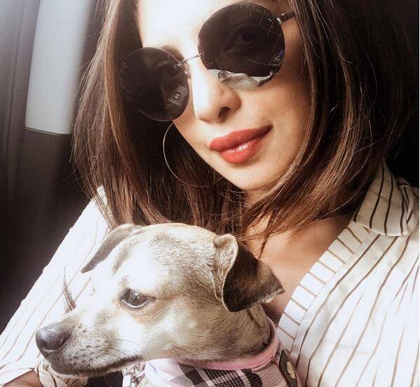 इसमें उनके साथ जिम पार्सन्स, क्लेयर डेन्स, ओक्टाविया स्पेन्सर, ऐन डोड और माइकेला वाटकिंस जैसे सितारे प्रमुख भूमिकाओं में हैं.