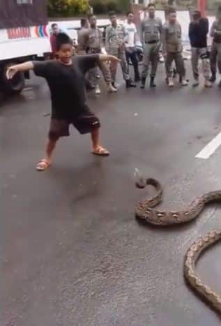 सबको चौंका देने वाले इस वीडियो में ये छोटा बच्चा खतरनाक सांप के साथ किसी खिलौने की तरह खेल रहा है. आप देख सकते हैं कि कैस ये बच्चा सांप के सामने नाच रहा है लेकिन देखते ही देखते बच्चे ने सांप की गर्दन पकड़ ली.