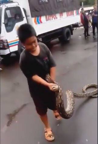 इस तस्वीर को देखिए कैसे ये बच्चा सांप के जबड़े को पकड़ कर उसका मुंह खोल रहा है. 