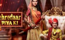  ऑफ एयर हुआ विवादित सीरियल \'पहरेदार पिया की\', जानें पूरा मामला...