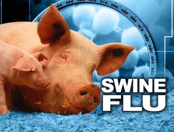 Swine Flu Death Toll Rises To 52 In Odisha ओडिशा में स्वाइन फ्लू से अब तक 52 लोगों की मौत