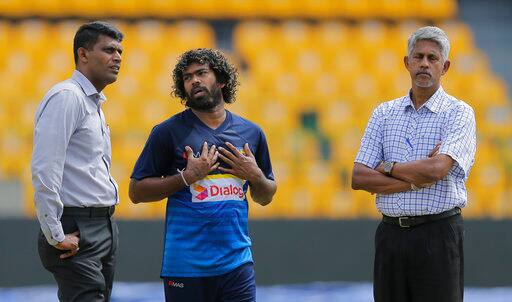 मलिंगा ने श्रीलंका के लिए कुल 203 वनडे मैचों में 300 विकेट चटकाए हैं, वहीं टेस्ट में उनके नाम 30 मैचों में कुल 101 विकेट शामिल हैं. डेथ ओवर्स स्पेशलिस्ट इस गेंदबाज़ ने टी20 में अपनी टीम के लिए 67 मैचों में 89 विकेट्स चटकाए हैं.