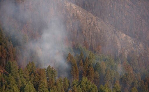 Canada Emergency Period Extended For The Fourth Time Due To Wildfire कनाडा: जंगलों में लगी आग के चलते इमरजेंसी को चौथी बार बढ़ाया गया