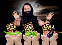 अपने भक्तों को सोने के भाव से सब्जियां बेचा करता था गुरमीत राम रहीम