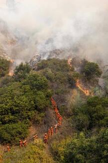 लॉस एंजेलिस के जंगलों में लगी अमेरिकी इतिहास की सबसे भीषण आग, आपातकाल घोषित