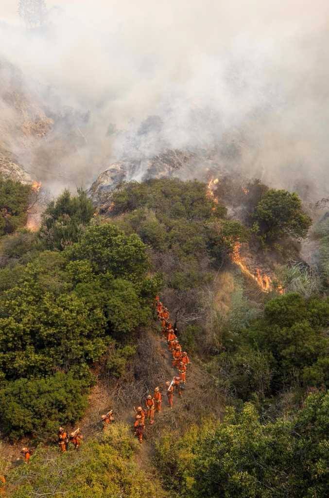   समाचार एजेंसी सिन्हुआ की रिपोर्ट के अनुसार, कथित तौर पर ला टुना आग करीब आठ हजार एकड़ क्षेत्र में फैल गई है, जिसके कारण कुछ क्षेत्रों को खाली कराया गया. 