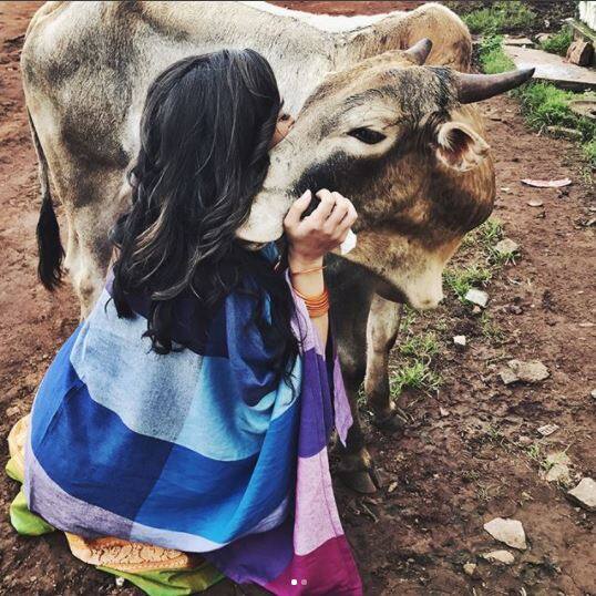 तस्वीरों में आप हॉलीवुड अदाकारा एमी जैक्सन को देख सकते हैं. ये तस्वीरें उन्होंने अपनी इंस्टा टाइमलाइन पर पोस्ट की हैं. तस्वीरें में गाय को उन्होंने अपने गले लगा रखा है और कैप्शन में लिखा है कि हर किसी को प्यार की ज़रूरत होती है. 