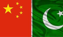 चीन ने पाक के विदेश मंत्री को दिया न्योता, कहा- सदाबहार रणनीतिक साझेदार है पाकिस्तान