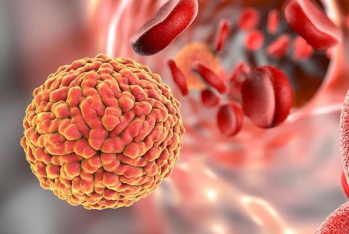 Zika Virus Used To Treat Aggressive Brain Cancer खुशखबरी! जीका वायरस से हो सकता है घातक ब्रेन कैंसर का इलाज