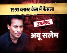 सलेम की सजा की तामील कैसे हो, यह सरकार तय करे: टाडा अदालत