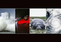 177 किलोमीटर प्रति घंटे से इरमा ने जो तबाही मचाई उस मंज़र की तस्वीरें