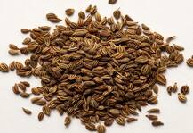 वजन कम करना है तो इस तरह खाएं अजवाइन!