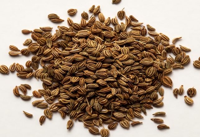 क्या आप जानते हैं अजवाइन से वजन कम भी किया जा सकता है. दरअसल, आजवाइन में थायमोल नामक एक आवश्यक तेल होता है जो एंटीसेप्टिक होता है और इसमें एंटी इंफ्लेमेट्री गुण होते हैं. जो कि वजन कम करने में मदद करता है. आज हम आपको बता रहे हैं कैसे आप अजवाइन के सेवन से आसानी से वजन कम कर सकते हैं.