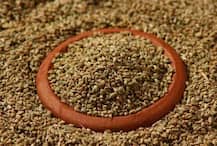 Ajwain Tea Benefits: अजवाइन की चाय पीने से होंगे ये पांच फायदे, इस तरह इसे आसानी से बनाएं