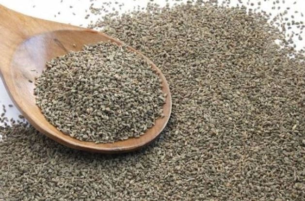 health benefits of ajwain, reason and uses, know in details Ajwain Health Benefits: ওষধিগুণে চমক জোয়ানের, রোখে সংক্রমণও