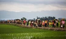 रोहिंग्या मामले पर सुप्रीम कोर्ट में सुनवाई टली, अब 18 सितंबर को होगी सुनवाई