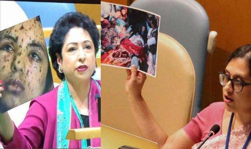 India Counters Pakistans Fake Pitch With True Picture In United Nations General Assembly यूएन: झूठी तस्वीर पर पाक का पर्दाफाश, भारत ने दुनिया को दिखाई असलियत