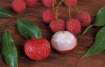 लीची खाने के अलावा भी आती है इस काम में