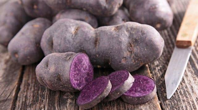 Purple Potatoes May Lower Colon Cancer Risk Study बैंगनी आलू से कम हो सकता है कोलन कैंसर का खतरा