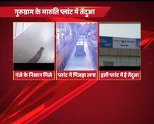 गुरुग्राम: मारुति प्लांट में घुसे तेंदुए को 30 घंटे बाद पकड़ा गया