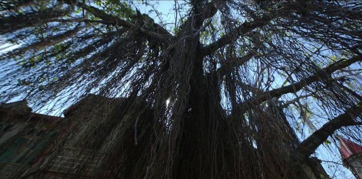 मगर कुछ लोगों की तरफ से ये सारी बातें बेबुनियाद भी करार दी जा सकती हैं. उनके मुताबिक अचानक ऐसे लैपटॉप्स का टूटना महज एक इत्तेफाक भी हो सकता है.