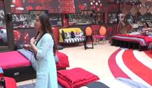 Bigg Boss 11, Day 12: काल कोठरी में सपना चौधरी ने अर्शी खान का किया बुरा हाल