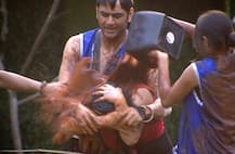 Bigg Boss 11: लग्जरी बजट टास्क के दौरान आज घर में होगा जबरदस्त हंगामा