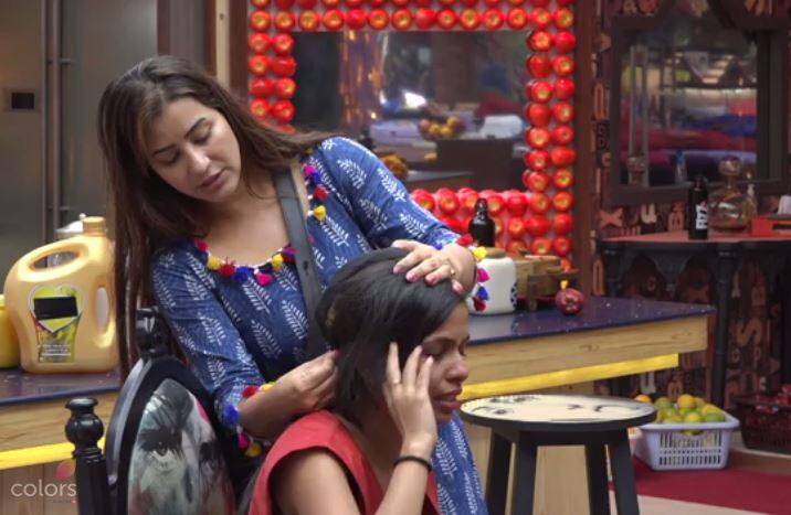 ढिंचैक पूजा के घर में जाने के बाद रेड टीम के सदस्यों की संख्या ब्लू टीम से कम हो गई और वह यह टास्क हार गई. हिना खान ने आरोप लगाया है कि ढिंचैक पूजा की वजह से हम लोग टास्क हार गए हैं. वहीं घर के अंदर जाने के बाद ढिंचैक पूजा ने रोते हुए शिल्पा शिंदे से कहा, ''कल रात से ही मेरी तबीयत खराब हो रही थी. मैंने कहा भी था कि मुझे घर में जाने दिया जाए. लेकिन अब ये लोग मुझपर ऐसे ताने मार रहे हैं.''