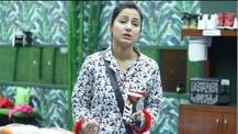 Bigg Boss 11: टॉलीवुड की खिल्ली उड़ाने के लिए हंसिका मोटवानी समेत साउथ की टॉप अभनेत्रियों ने हिना खान पर कसा तंज़