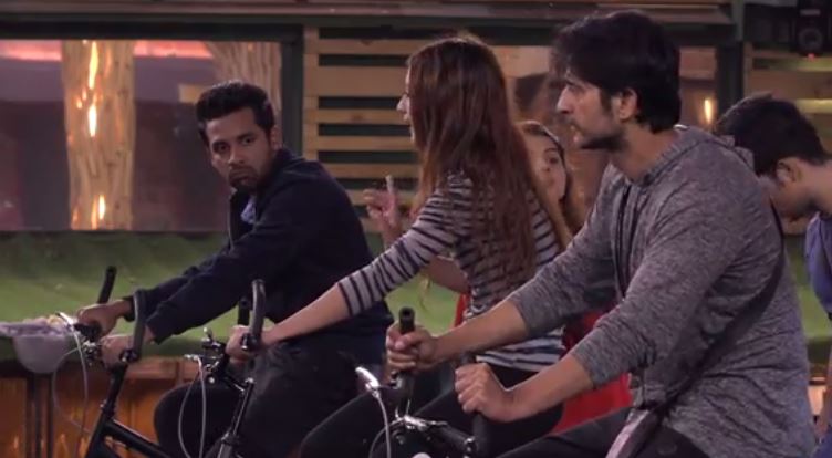 बिग बॉस के घर में पहले भी हुईं हैं हदें पार, इन कंटेस्टेंट्स ने की हैं पुनीश जैसी हरकत