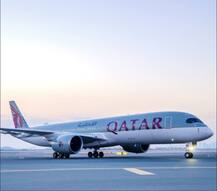 दोहा से बाली जा रहे विमान को महिला ने चेन्नई में उतरवाया, वजह जान दंग रह जाएंगे