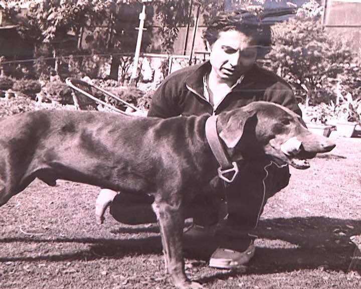 बेजान खंडहरों के अंधेरे में अवध रियासत के 'आखिरी प्रिंस' को नसीब हुई गुमनाम मौत A lonely death for the last prince of Oudh बेजान खंडहरों के अंधेरे में अवध रियासत के 'आखिरी प्रिंस' को नसीब हुई गुमनाम मौत