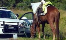 शराब के नशे में कर रही थी घुड़सवारी, कटा चालान