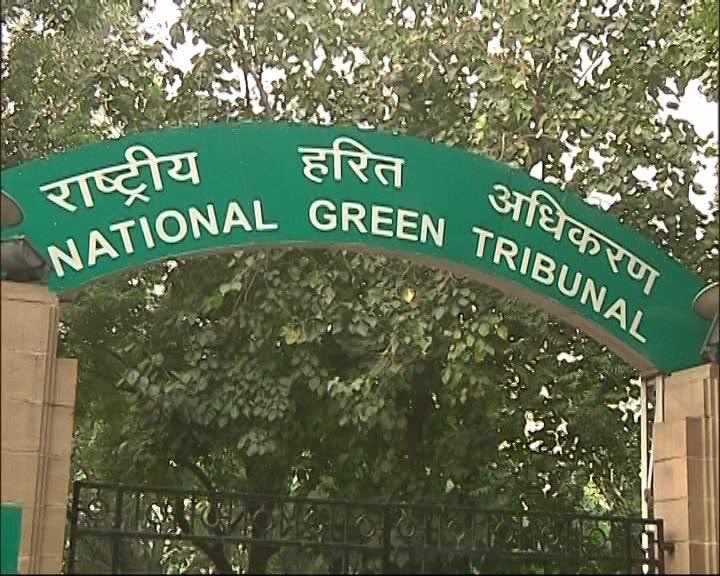 NGT LIVE, Delhi Air pollution: NGT pulls up Delhi government दिल्ली: NGT ने दिल्ली में निर्माण पर लगाई रोक, कहा- जीने का अधिकार नहीं छीन सकते