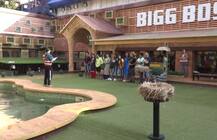 Bigg Boss 11: बिग बॉस के घर में बड़ा उलटफेर, स्पेशल टास्क में इस कंटेस्टेंट ने मारी बाजी