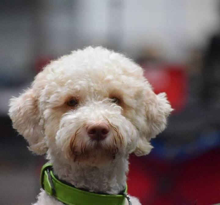 तस्वीरें: एपी, इंस्टाग्राम