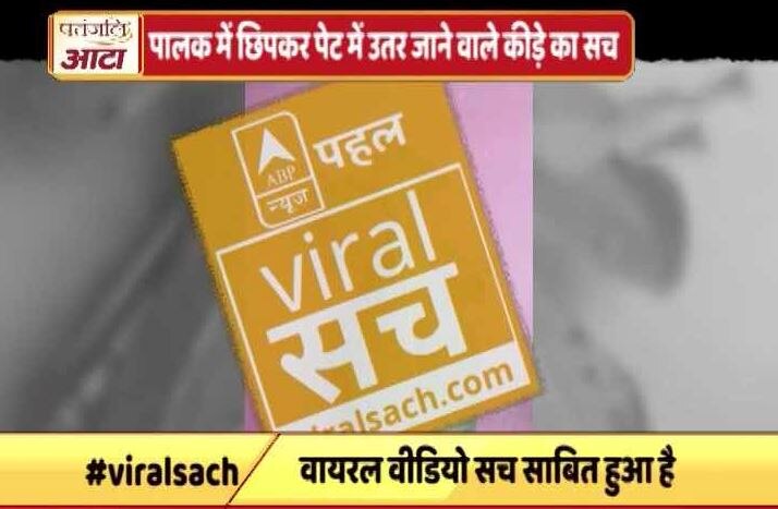जानें- पालक में छिपकर पेट में उतर जाने वाले कीड़े का वायरल सच?