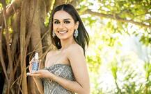 मानुषी छिल्लर की जीत के साथ सबसे ज्यादा बार \'मिस वर्ल्ड\' खिताब जीतने वाला देश बना भारत