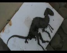 उत्तराखंड: 1.8 करोड साल पुराना अवशेष मिला, लेकिन नहीं है डायनासोर